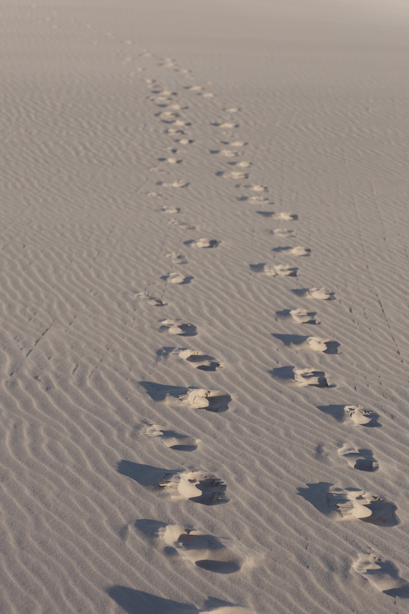 Júlia e Guilherme, ensaio romântico nas dunas, Atins, Lençóis Maranhenses